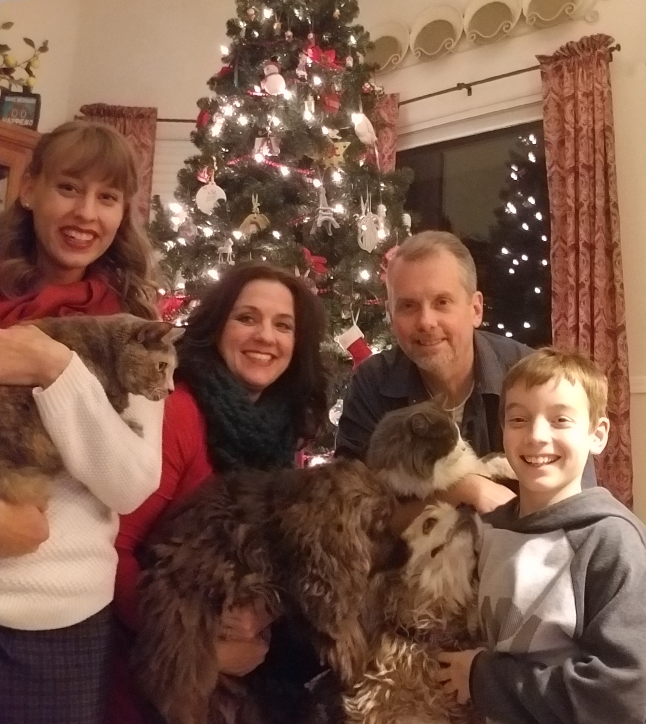 family in front of a Christmas Tree