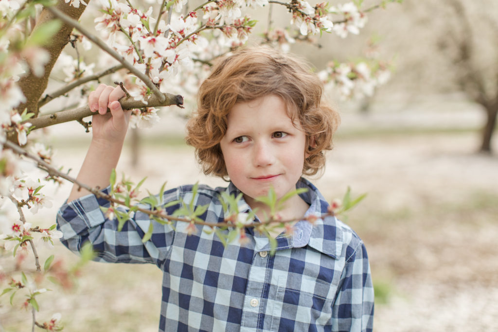 young boy with tree