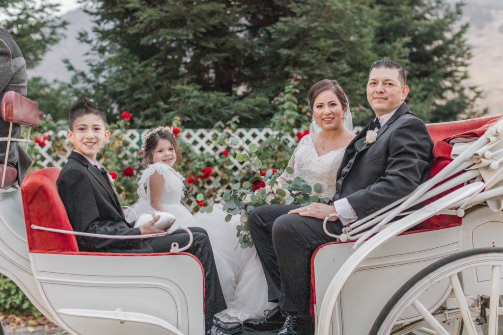 family in carriage - wonder valley ranch wedding